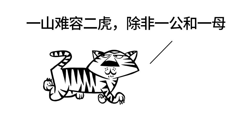 1450324470213606.jpg 2.jpg