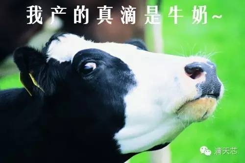 1456993655625767.jpg 圖3.webp.jpg