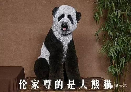 1456993664614923.jpg 圖2.webp.jpg