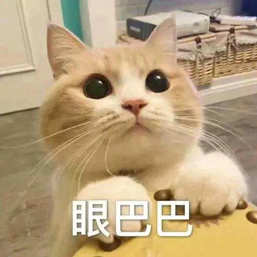 1608284029687699.jpg 22.jpg