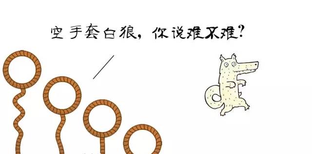 1450318935377031.jpg 2.jpg
