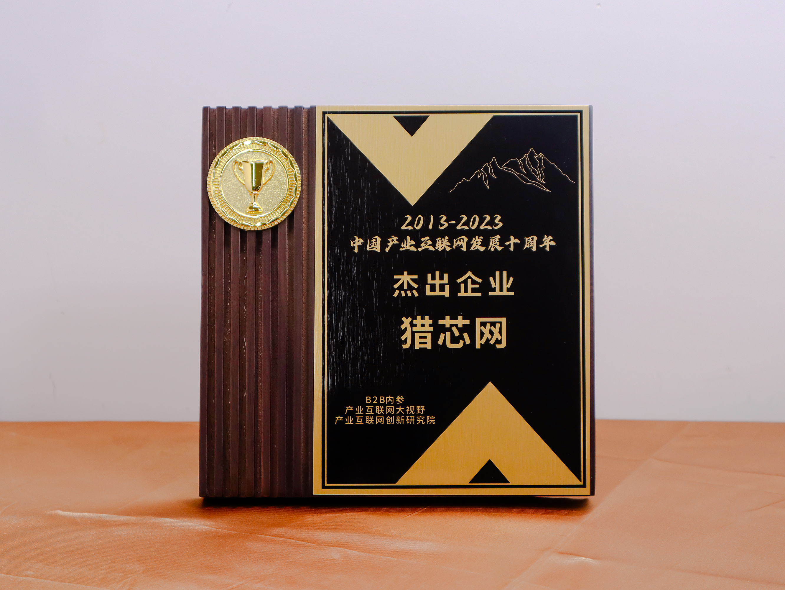 2013-2023中國(guó)產(chǎn)業(yè)互聯(lián)網(wǎng)發(fā)展十周年杰出企業(yè)
