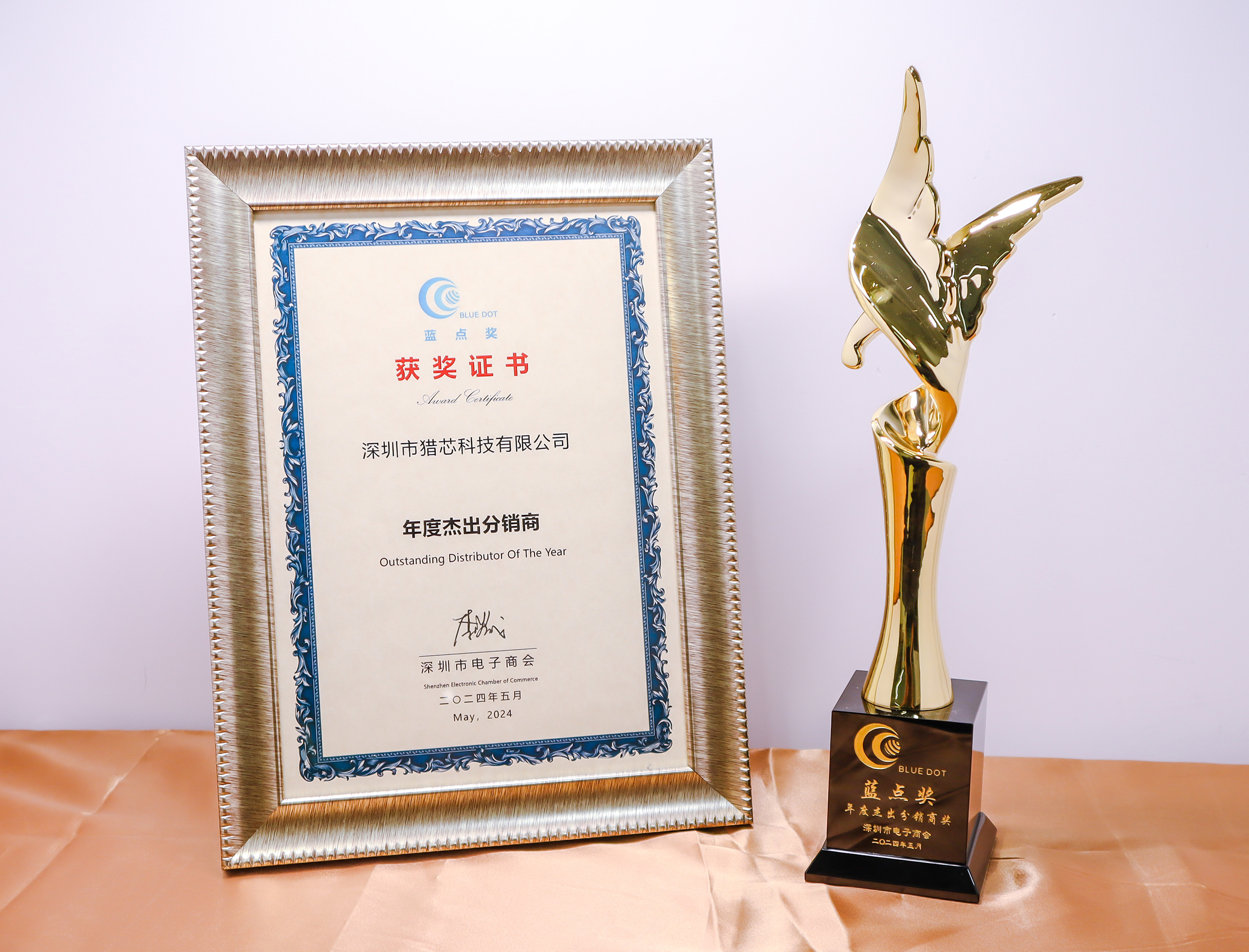 2024藍(lán)點(diǎn)獎(jiǎng)-年度杰出分銷商